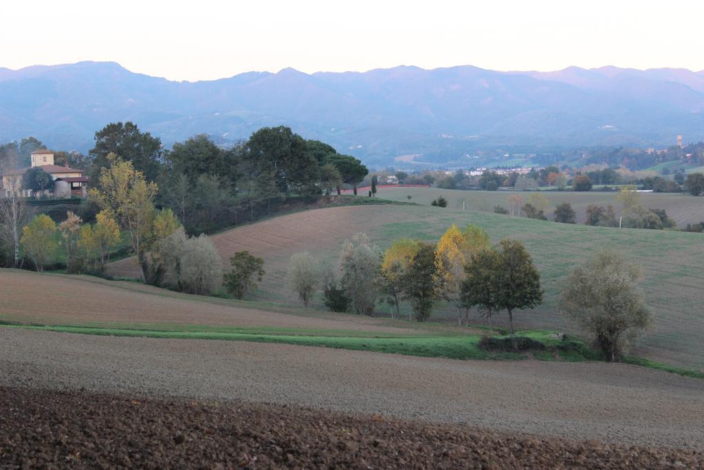Intorno Firenze B&B San Piero a Sieve Exteriér fotografie